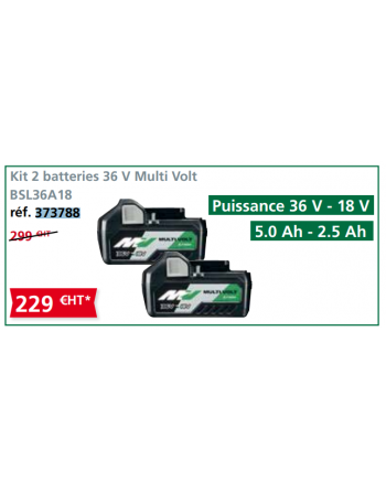 KIT 2 batteries BSL36A18 36 V - 18 V Multi Volt